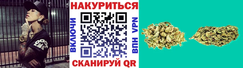 Продажа наркотиков Иланский Псилоцибиновые грибы  МЕТАДОН  A PVP  Меф мяу мяу  ГАШИШ  COCAIN 