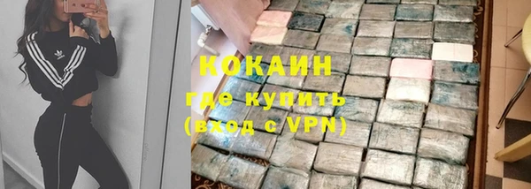крисы Абаза