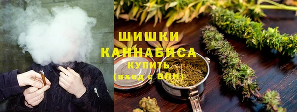 крисы Абаза