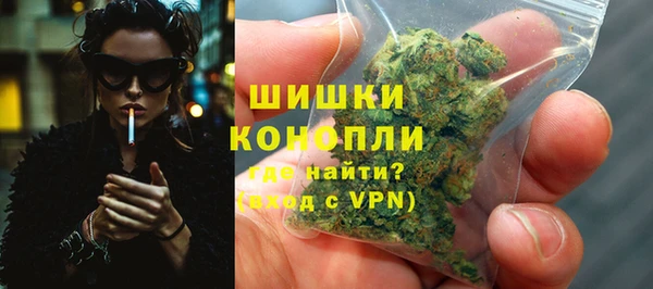 крисы Абаза