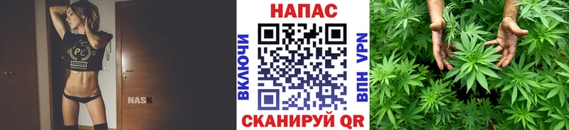 mega зеркало  Иланский  Бошки Шишки White Widow 